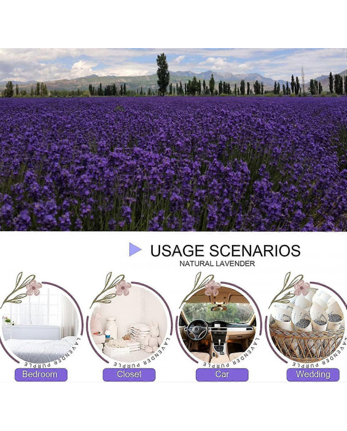 Lavande séchée Premium - Fleurs parfumées - Sachets, Parfum d’ambiance