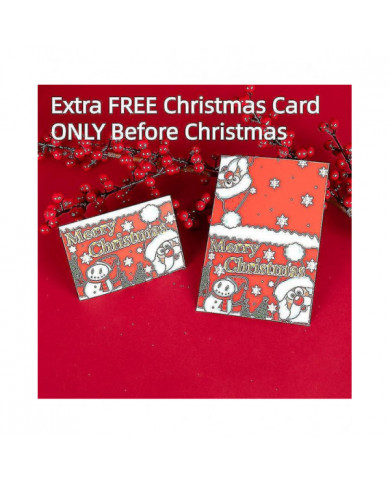 Calendrier de l’Avent Pêche Compte à rebours de Noël 24 jours Leurres de pêche Set Blind Box pour pêcheur Adulte [...]