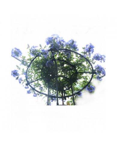 Treillis De Jardin Pour Plantes Grimpantes Et Fleurs, Treillis De Plante En Métal Pour Une Utilisation En Extérieur