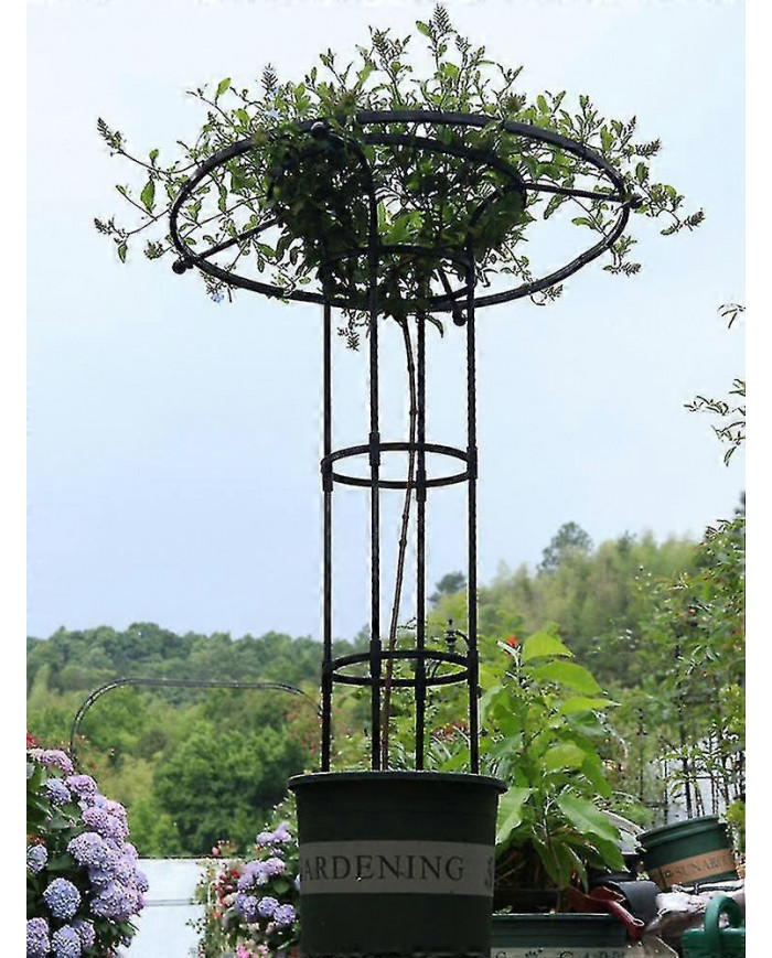 Treillis De Jardin Pour Plantes Grimpantes Et Fleurs, Treillis De Plante En Métal Pour Une Utilisation En Extérieur