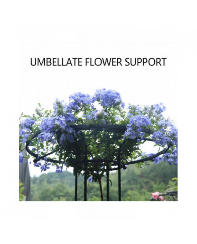 Treillis De Jardin Pour Plantes Grimpantes Et Fleurs, Treillis De Plante En Métal Pour Une Utilisation En Extérieur