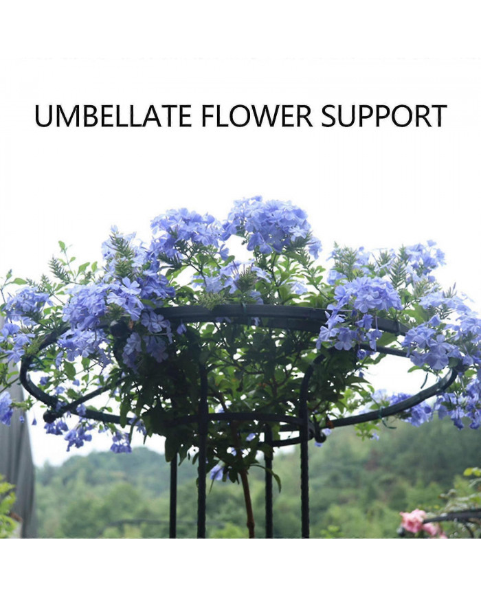 Treillis De Jardin Pour Plantes Grimpantes Et Fleurs, Treillis De Plante En Métal Pour Une Utilisation En Extérieur