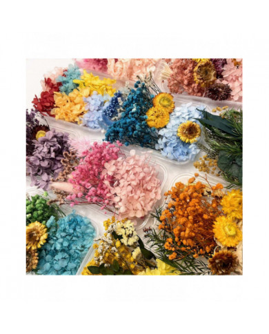 Kit de fleurs séchées Véritables fleurs naturelles En vrac Fleur séchée DIY Fleurs éternelles Matériel pour bijoux [...]