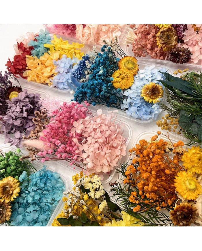 Kit de fleurs séchées Véritables fleurs naturelles En vrac Fleur séchée DIY Fleurs éternelles Matériel pour bijoux [...]