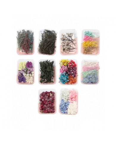 Kit de fleurs séchées Véritables fleurs naturelles En vrac Fleur séchée DIY Fleurs éternelles Matériel pour bijoux [...]
