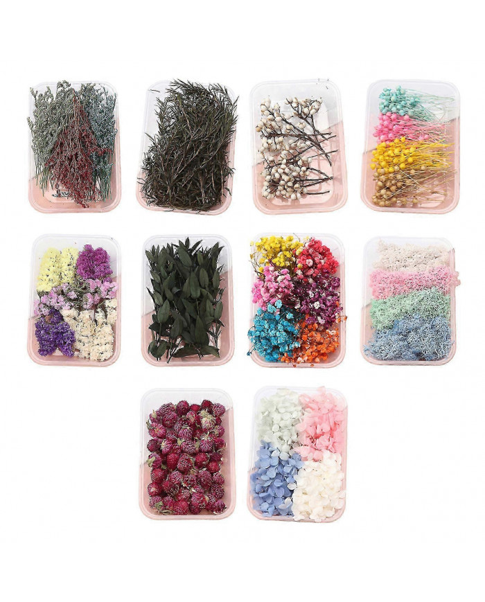 Kit de fleurs séchées Véritables fleurs naturelles En vrac Fleur séchée DIY Fleurs éternelles Matériel pour bijoux [...]