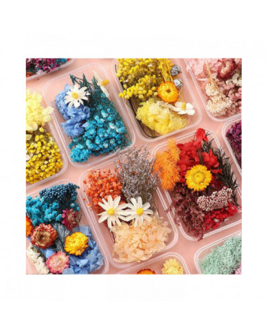 Kit de fleurs séchées Véritables fleurs naturelles En vrac Fleur séchée DIY Fleurs éternelles Matériel pour bijoux [...]