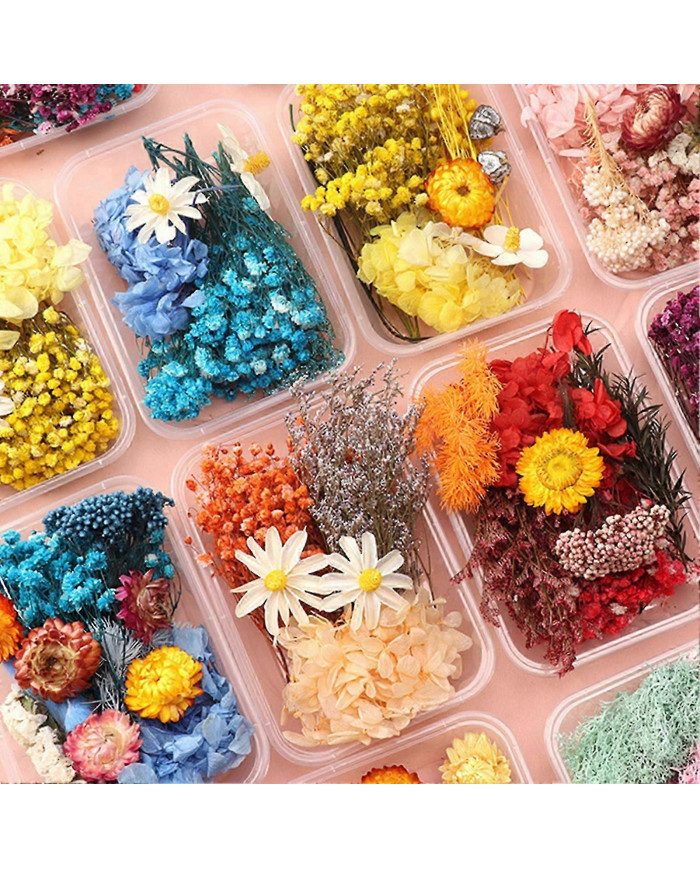 Kit de fleurs séchées Véritables fleurs naturelles En vrac Fleur séchée DIY Fleurs éternelles Matériel pour bijoux [...]