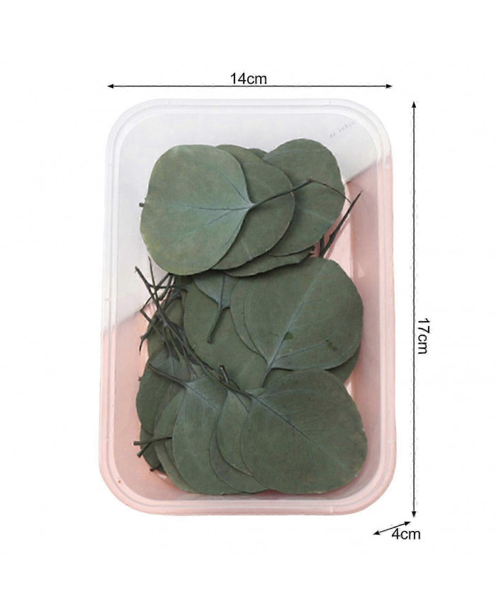 Kit de fleurs séchées Véritables fleurs naturelles En vrac Fleur séchée DIY Fleurs éternelles Matériel pour bijoux [...]