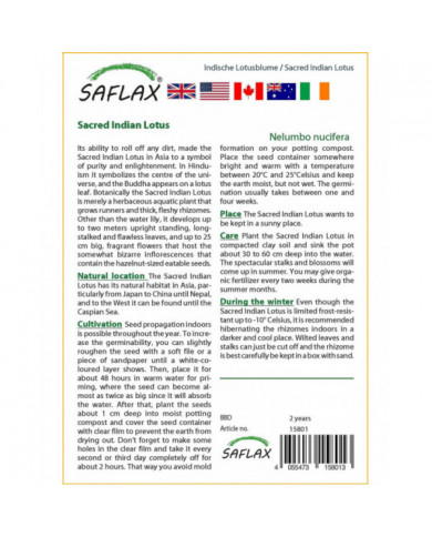 Saflax - 8 graines - avec sol - sacré indien Lotus - Lotus sacré - Fior di loto asiatico - Lloto sagrado - [...]