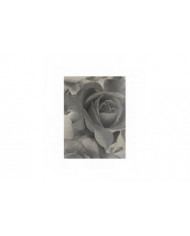 Madison Rose Glitter Papier peint Muriva