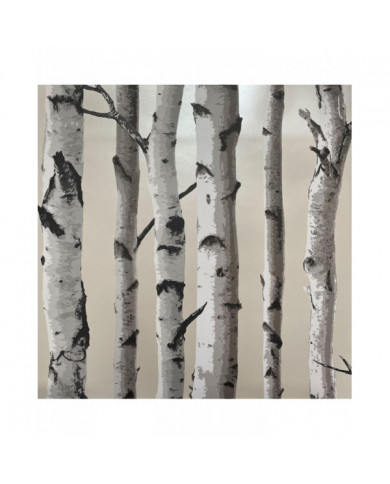 Bouleaux Arbres Fond d'écran Fine Décor