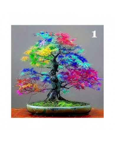 100 Pcs Graines D’érable Plante Maison Jardin Bonsaï Bureau Cour Aménagement Paysager Décor