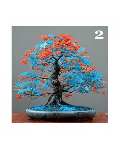 100 Pcs Graines D’érable Plante Maison Jardin Bonsaï Bureau Cour Aménagement Paysager Décor