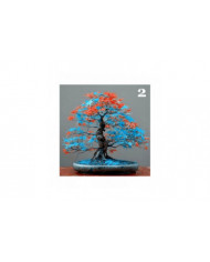 100 Pcs Graines D’érable Plante Maison Jardin Bonsaï Bureau Cour Aménagement Paysager Décor