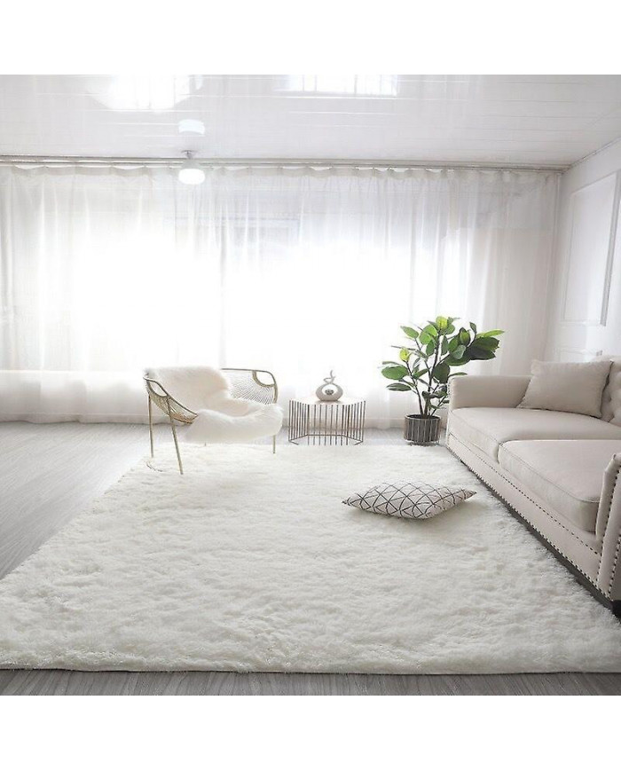 Grand tapis moelleux Salon Décoration Tapis moelleux Tapis épais Chambre Antidérapant Sol Doux Salon Tapis Tapis Solide