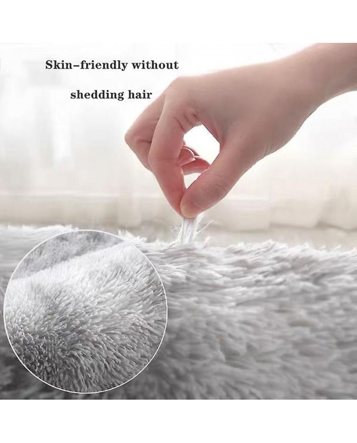 Grand tapis moelleux Salon Décoration Tapis moelleux Tapis épais Chambre Antidérapant Sol Doux Salon Tapis Tapis Solide