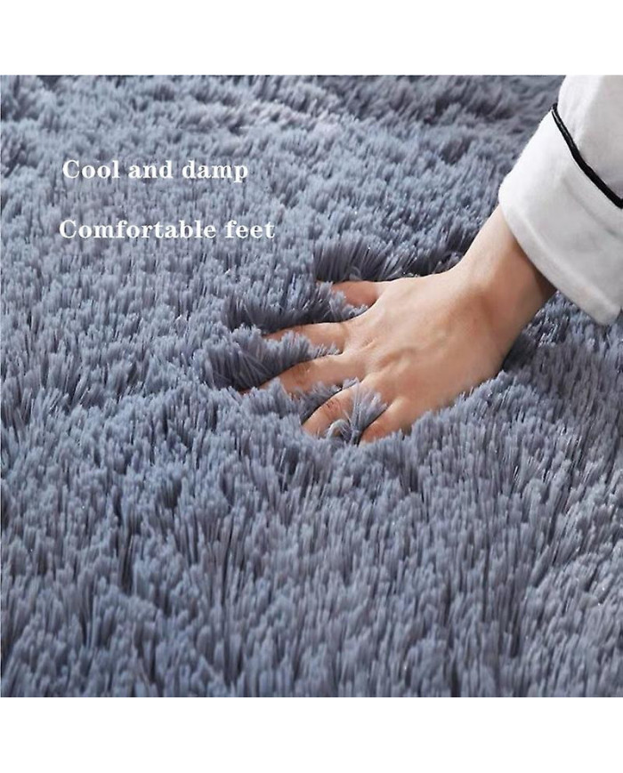 Grand tapis moelleux Salon Décoration Tapis moelleux Tapis épais Chambre Antidérapant Sol Doux Salon Tapis Tapis Solide