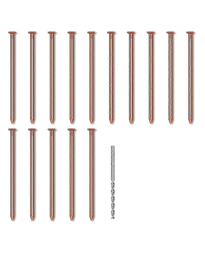 15 clous en cuivre pour tuer la racine de souche des arbres, clous en cuivre pur de 3,14 pouces de long avec [...]