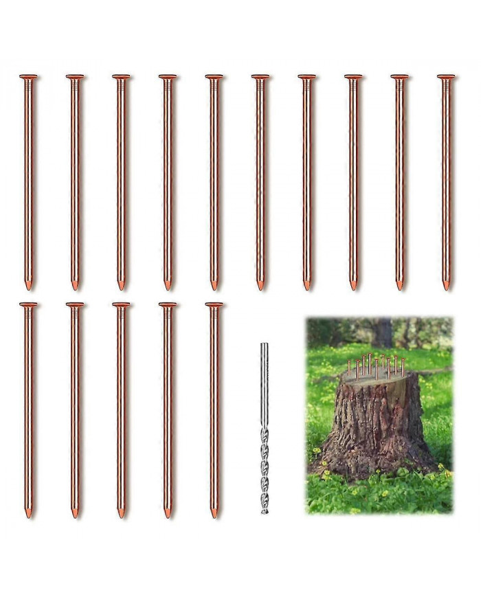 15 clous en cuivre pour tuer la racine de souche des arbres, clous en cuivre pur de 3,14 pouces de long avec [...]