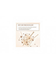 15 clous en cuivre pour tuer la racine de souche des arbres, clous en cuivre pur de 3,14 pouces de long avec [...]