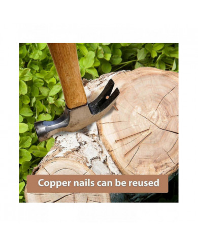 15 clous en cuivre pour tuer la racine de souche des arbres, clous en cuivre pur de 3,14 pouces de long avec [...]