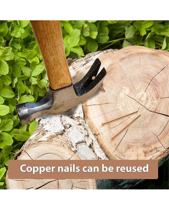 15 clous en cuivre pour tuer la racine de souche des arbres, clous en cuivre pur de 3,14 pouces de long avec [...]