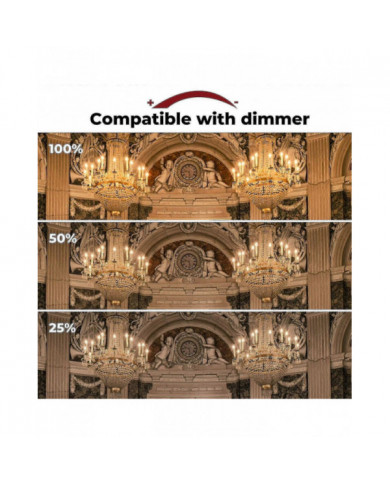 42w E14 C35 Dimmable Ampoule halogène Ac 220-240V Blanc chaud 2700k E14 Ampoule halogène transparente (10pcs)