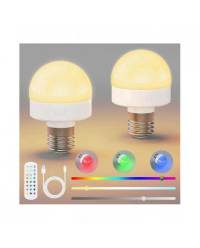 Ampoules rechargeables avec télécommande - Ampoule à piles E26 pour applique murale non câblée