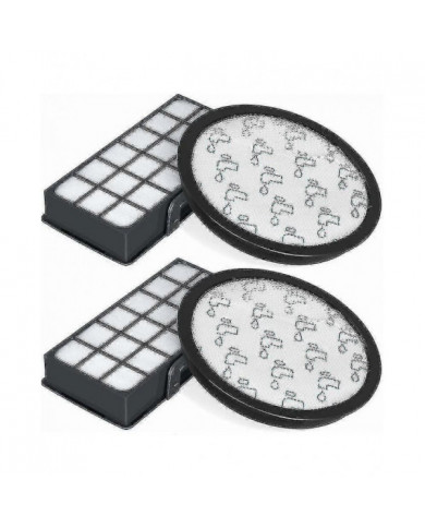 Ensemble De 2 Filtres Hepa Pour Rowenta Silence Force Cyclonic 4aaaa Ro7647ea Ro7663ea Ro7676ea Ro7681ea (modèle [...]