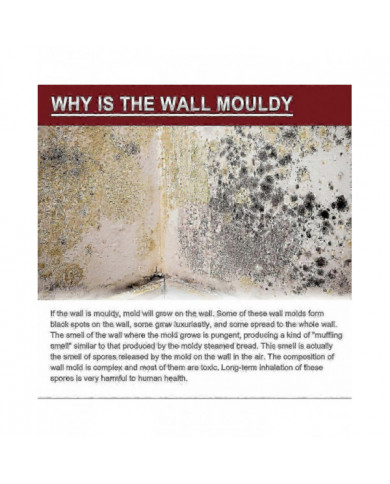 1-3x Nettoyant anti-moisissure Mousse Spray Agent Anti-moisissure efficace Nettoyant anti-moisissure