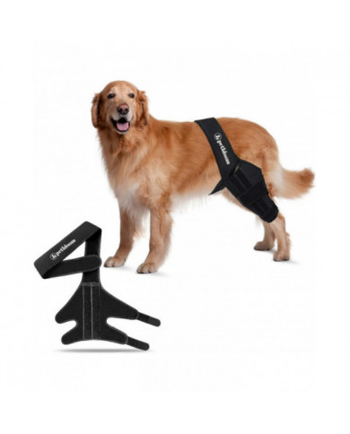 genouillère pour chien pour déchirure du ligament croisé antérieur, dysplasie de la hanche, soulagement de la [...]