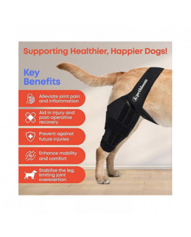 genouillère pour chien pour déchirure du ligament croisé antérieur, dysplasie de la hanche, soulagement de la [...]