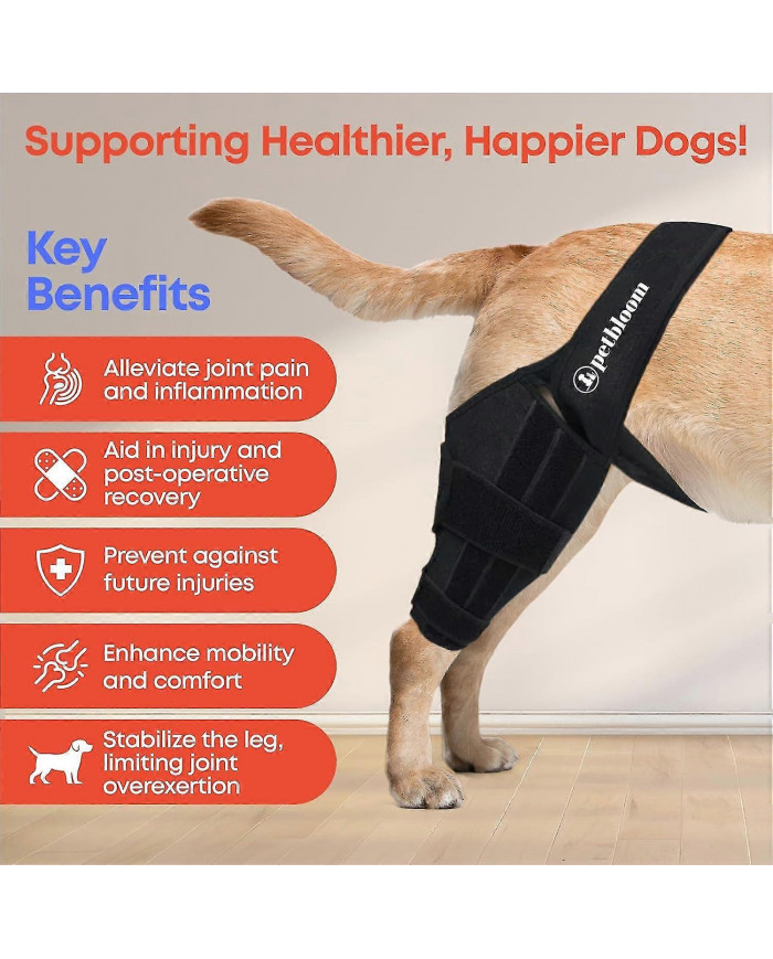 genouillère pour chien pour déchirure du ligament croisé antérieur, dysplasie de la hanche, soulagement de la [...]