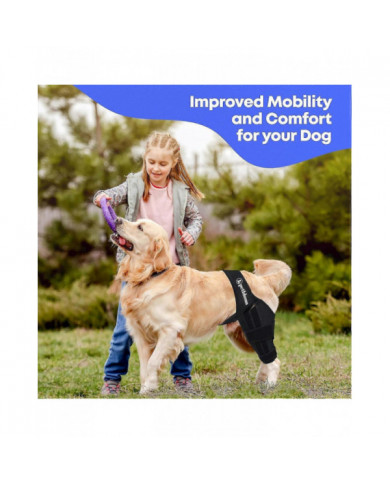 genouillère pour chien pour déchirure du ligament croisé antérieur, dysplasie de la hanche, soulagement de la [...]