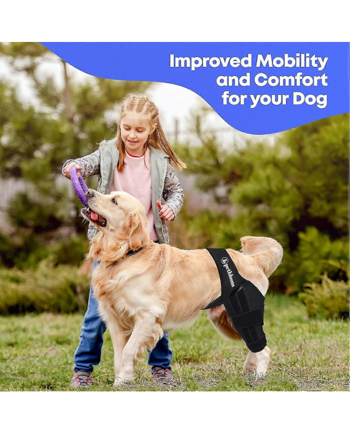 genouillère pour chien pour déchirure du ligament croisé antérieur, dysplasie de la hanche, soulagement de la [...]