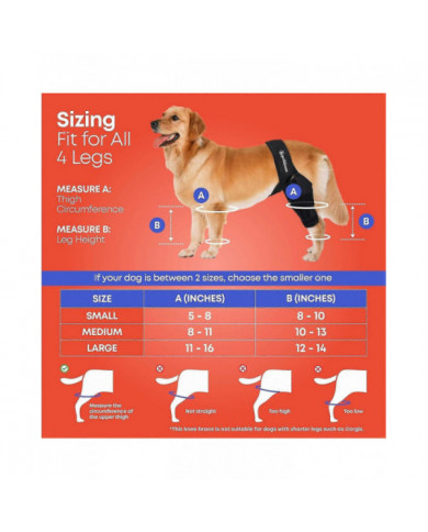 genouillère pour chien pour déchirure du ligament croisé antérieur, dysplasie de la hanche, soulagement de la [...]