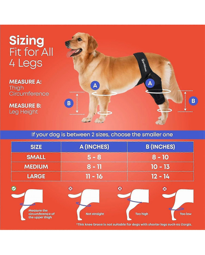 genouillère pour chien pour déchirure du ligament croisé antérieur, dysplasie de la hanche, soulagement de la [...]