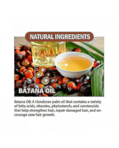 Huile de Batana 100% pure à partir de beurre de Batana naturel pour la croissance des cheveux Traitement de [...]