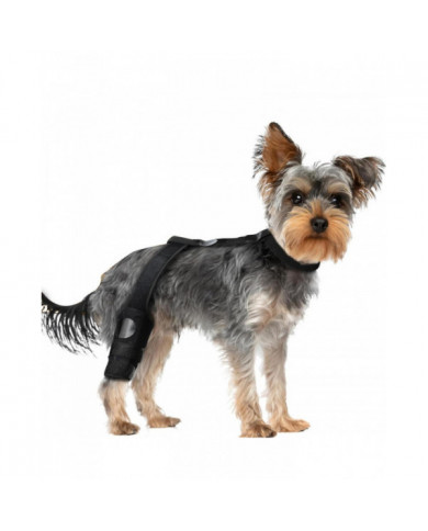 Genouillère ACL Premium Dog, genouillère pour chien pour patte arrière ACL déchirée, attelle ACL pour chien