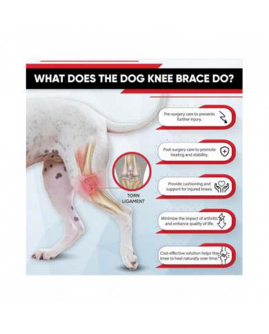 Genouillère ACL Premium Dog, genouillère pour chien pour patte arrière ACL déchirée, attelle ACL pour chien