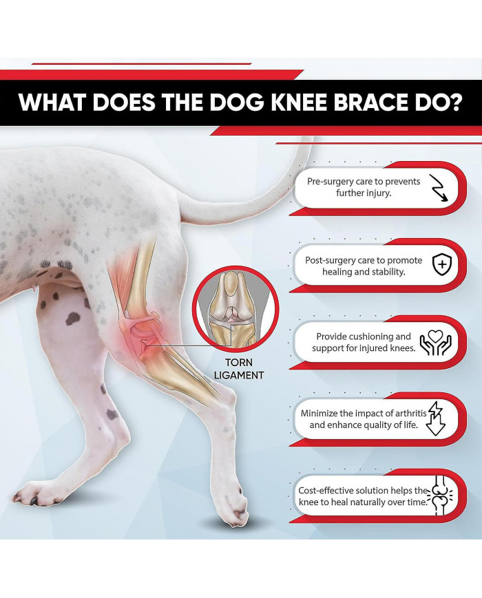 Genouillère ACL Premium Dog, genouillère pour chien pour patte arrière ACL déchirée, attelle ACL pour chien