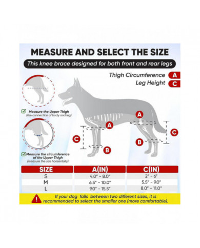 Genouillère ACL Premium Dog, genouillère pour chien pour patte arrière ACL déchirée, attelle ACL pour chien