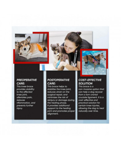Genouillère ACL Premium Dog, genouillère pour chien pour patte arrière ACL déchirée, attelle ACL pour chien