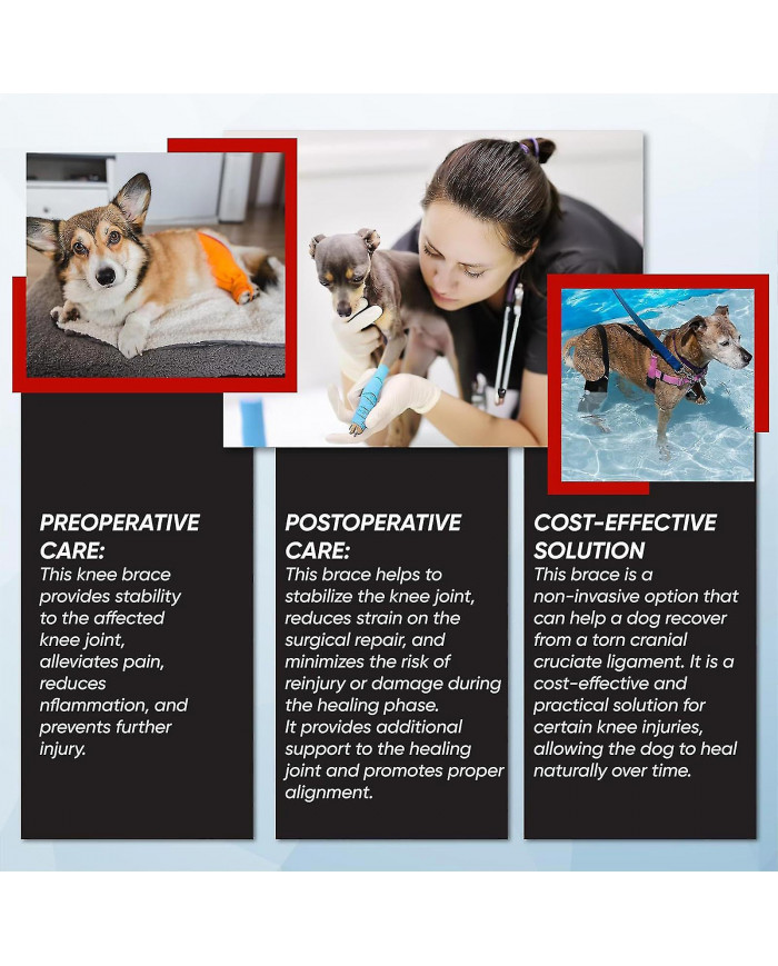 Genouillère ACL Premium Dog, genouillère pour chien pour patte arrière ACL déchirée, attelle ACL pour chien