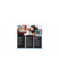 Genouillère ACL Premium Dog, genouillère pour chien pour patte arrière ACL déchirée, attelle ACL pour chien