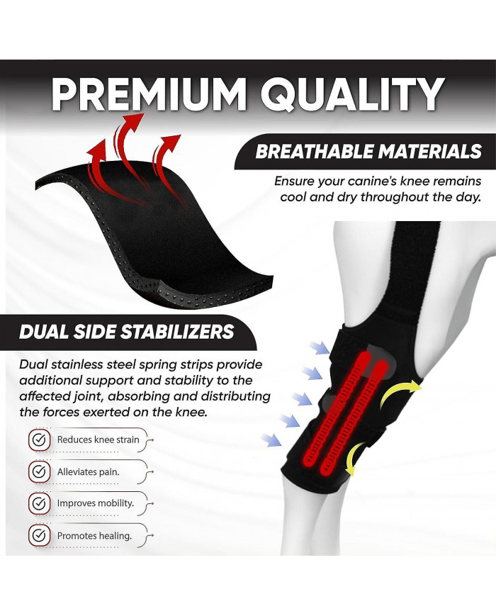 Genouillère ACL Premium Dog, genouillère pour chien pour patte arrière ACL déchirée, attelle ACL pour chien