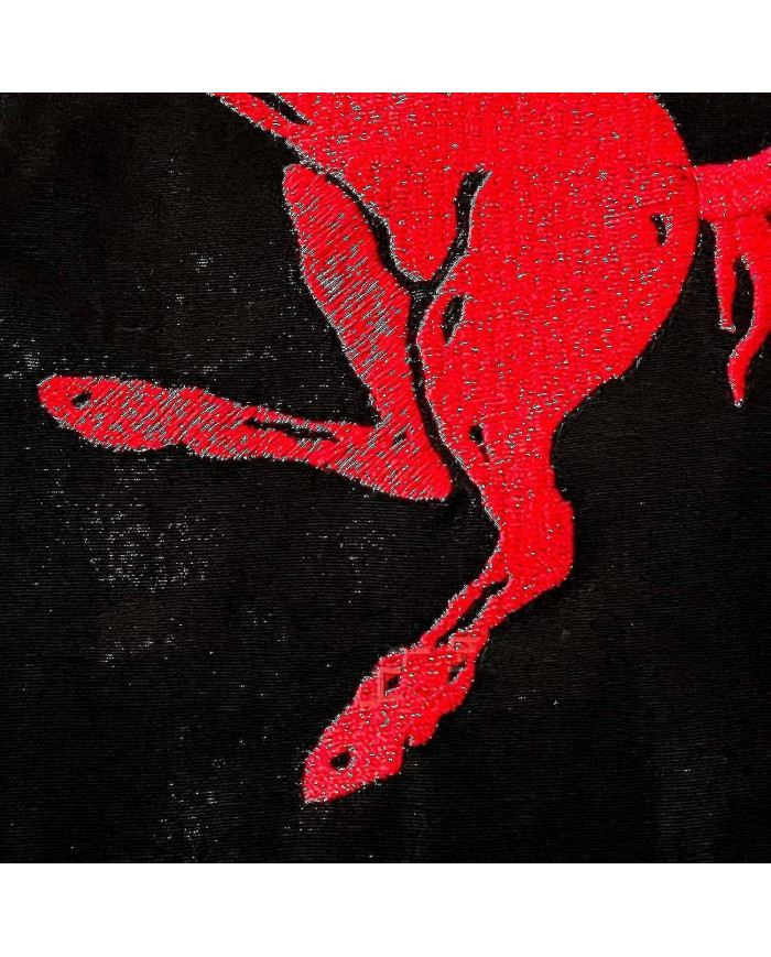 Veste de course pour hommes avec embridery rouge noir, veste Suit F1 Team Racing Cool Jacket