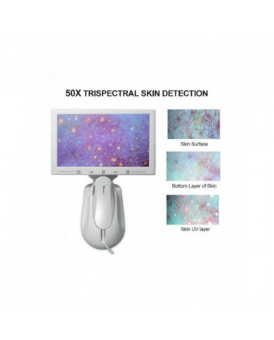 11 pouces Lcd écran peau cheveux cuir chevelu détecteur follicule pileux détecteur grossissant 200x test de microscope