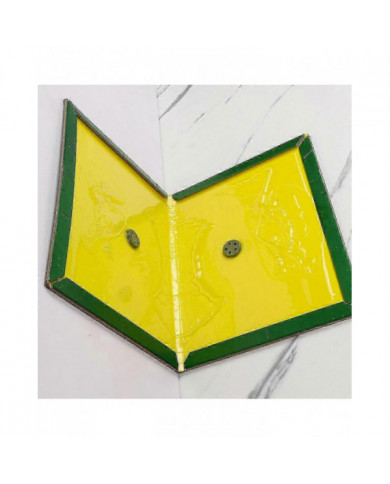 Lot De 3 Pièges A Colle Souris Rat Glue, Deratisation Attrape Souris Professionnel, Alternative Raticide Souricide [...]